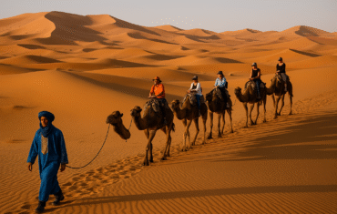 Camel caravan in the Sahara Desert during