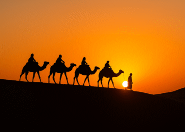 A caravan of camels with riders led by a Berber guide walking across the Merzouga dunes at sunset, captured in a realistic travel photo.morocco small group tours