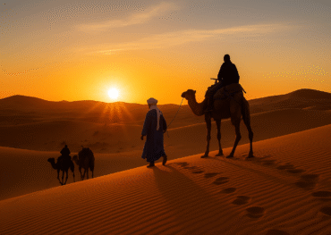 A Berber guide leading camels with travelers across the golden dunes of Merzouga at sunrise in the Sahara Desert. Description: A breat .morocco group tours