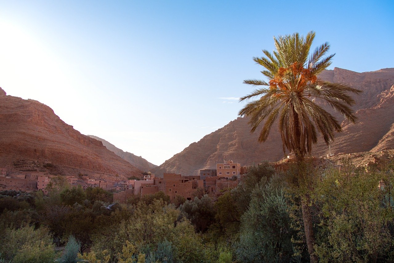 morocco, africa, tinghir, todra, canyon, landscape, palma, trees, arab, travels, tourism, marroc, tinghir, tinghir, tinghir, tinghir, nature, tinghir, todra