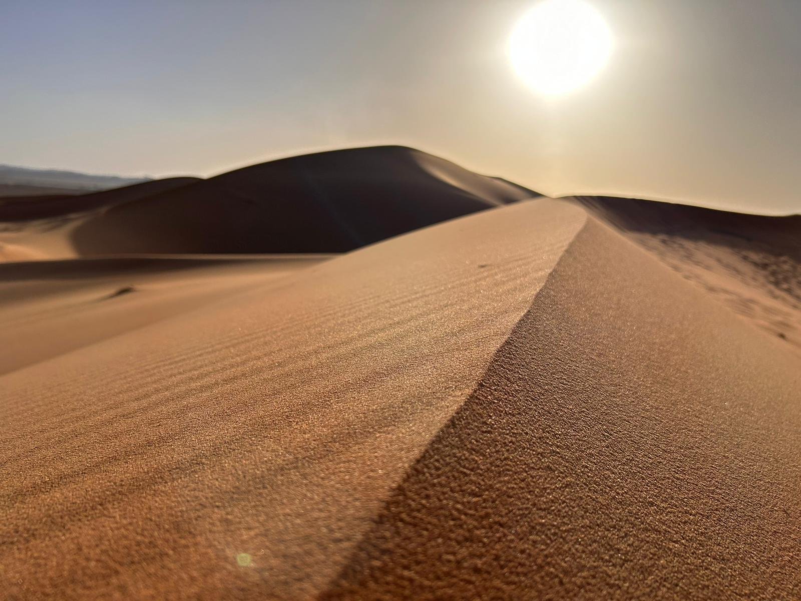 tours from marrakech